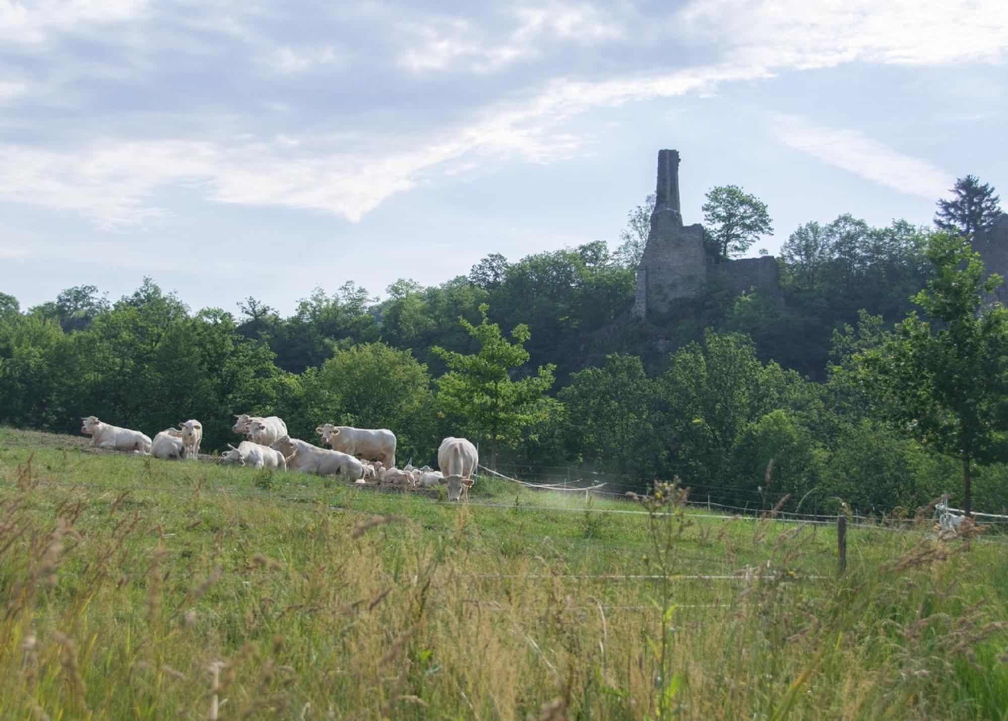 Hofbauerngut Sprödhuber Landhaus